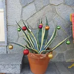 Apartament Fiori E Frutti, 2 Big Bedrooms Almese