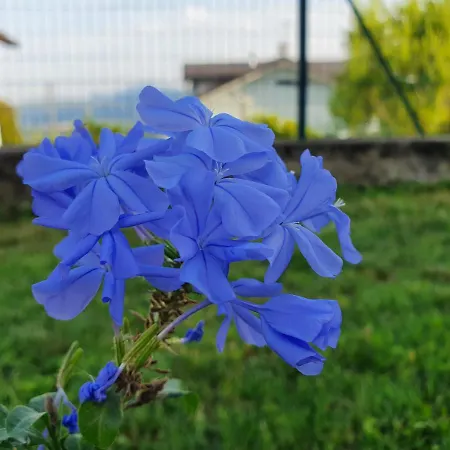 Appartement Fiori E Frutti, 2 Big Bedrooms Almese