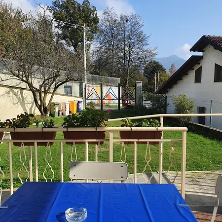 Fiori E Frutti Lt Almese