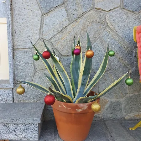 Apartment Fiori E Frutti Lt Almese