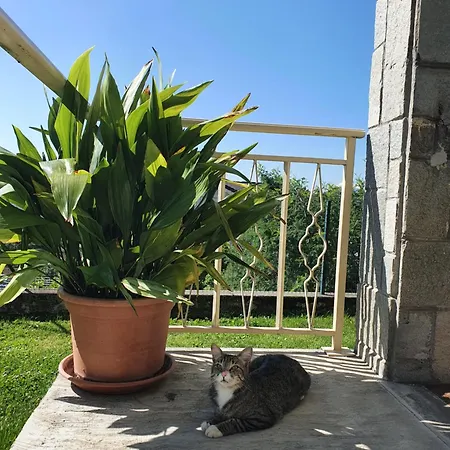 Appartement Fiori E Frutti, 2 Big Bedrooms