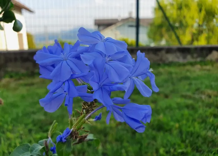 شقة Fiori E Frutti, 2 Big Bedrooms Almese